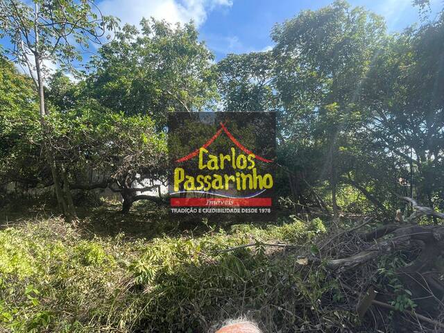  para  em  - 4