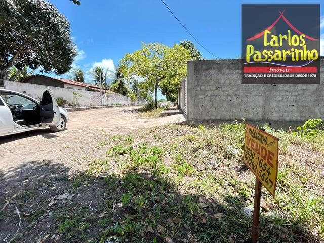 #62919957 - Terreno para Venda em Jacumã - PB - 2