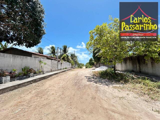 #62919957 - Terreno para Venda em Jacumã - PB - 3