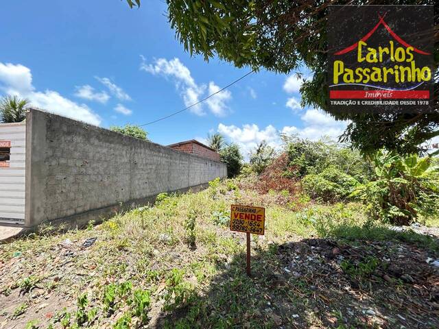 #62919957 - Terreno para Venda em Jacumã - PB - 1
