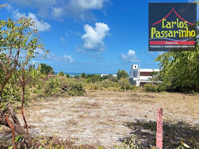 #62919964 - Terreno para Venda em Jacumã - PB - 2