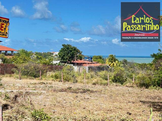 #62919964 - Terreno para Venda em Jacumã - PB - 3