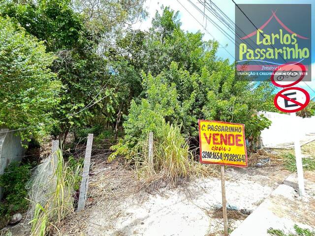 #62919968 - Terreno para Venda em Conde - PB - 1