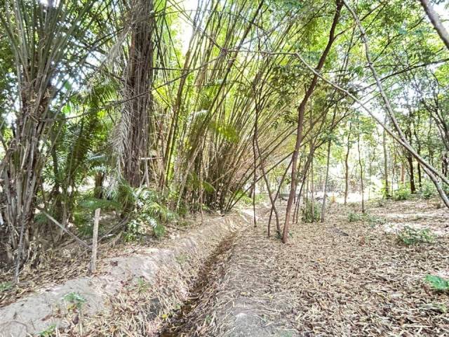 #62919990 - Casa para Venda em Conde - PB - 3