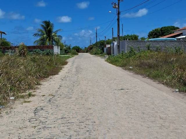 #62919994 - Terreno para Venda em Jacumã - PB - 3