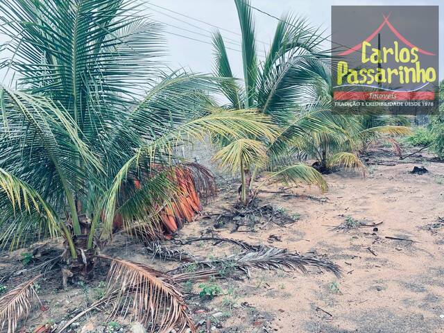 #62920002 - Terreno para Venda em Conde - PB