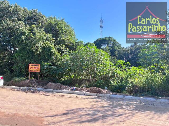 Venda em Jacumã - Conde