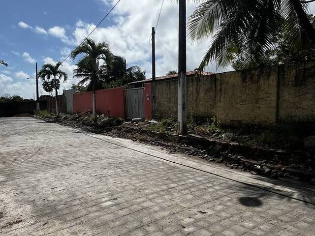 Terreno para Venda em Conde - 2