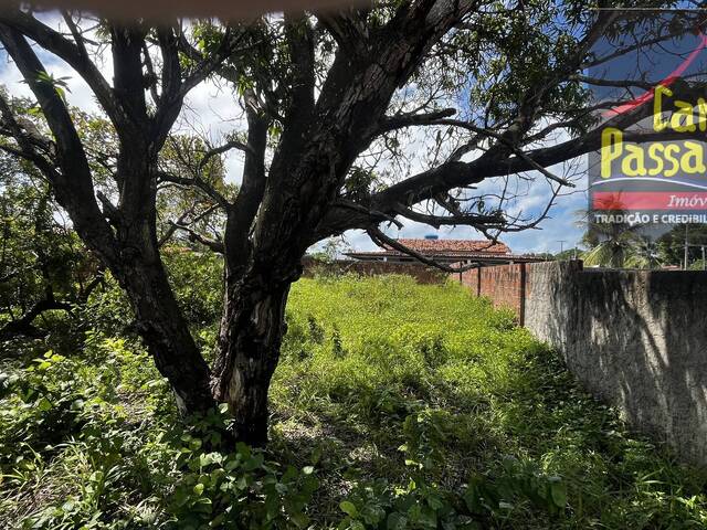 Terreno para Venda em Conde - 4