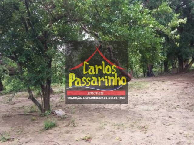 Casa para Locação em Conde - 5